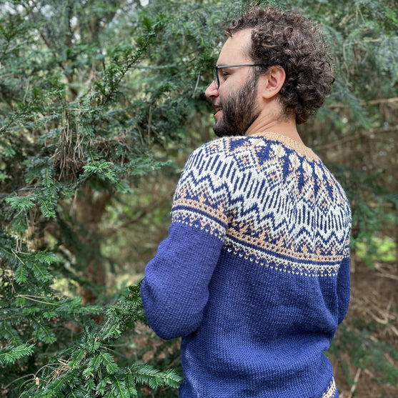 Arctic Starry Night - Unisex Genser
2