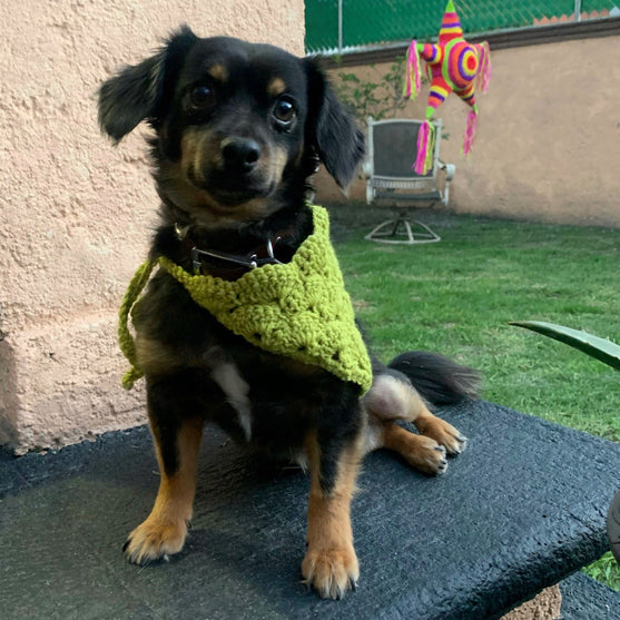 Cuddly Wrap - Hundetørkle
5