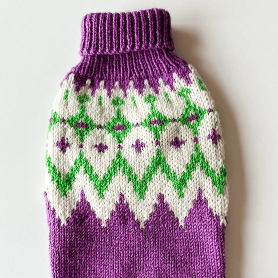 Chihuahua - Hundegenser
5