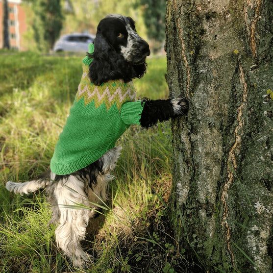 Cocker Spaniel - Hundegenser
3