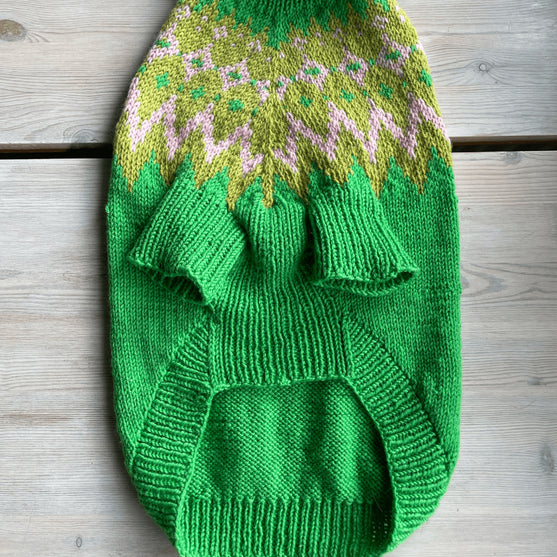 Cocker Spaniel - Hundegenser
5