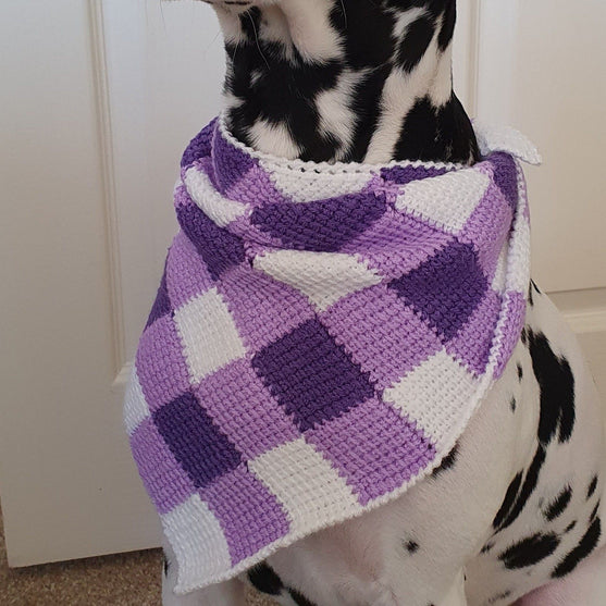 Summer Picnic - Hundeskjerf
2