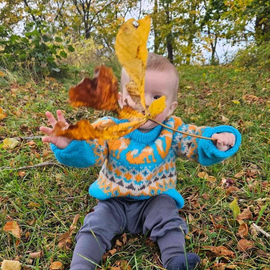 Happy Fox - Barnegenser
2