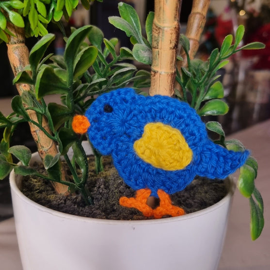 Pipite Fuglen - Applikasjon
2