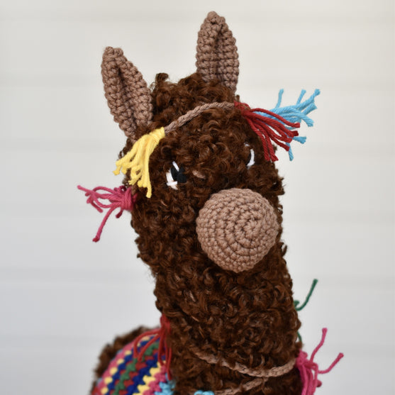 Pico the Alpaca
6