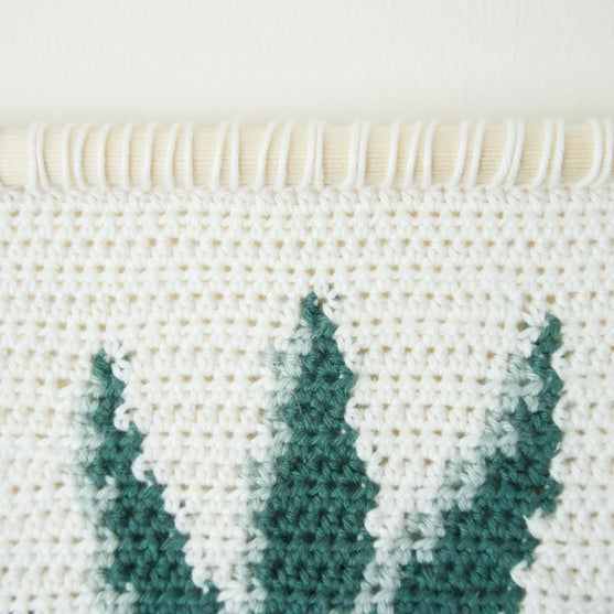 Snake Plant - Veggoppheng
3