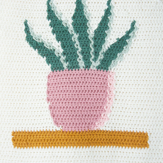 Snake Plant - Veggoppheng
6