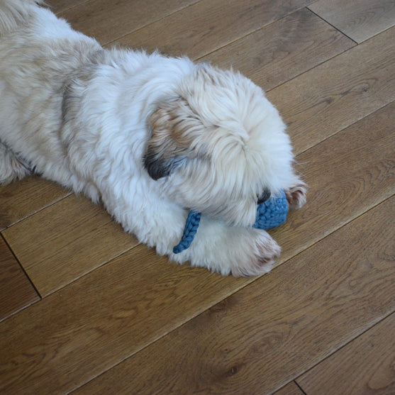 Haletusse - Leketøy til Hund
3