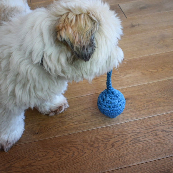 Haletusse - Leketøy til Hund
4