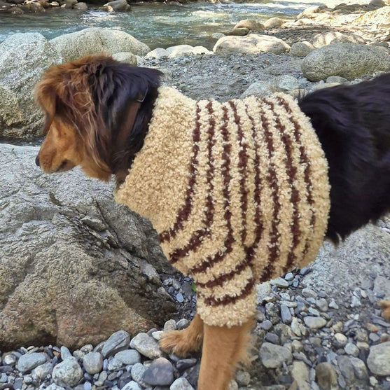 Stevie - Hundegenser
2