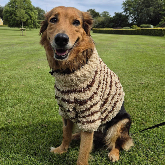 Stevie - Hundegenser
3