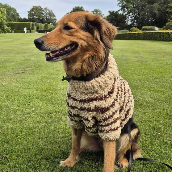 Stevie - Hundegenser
4