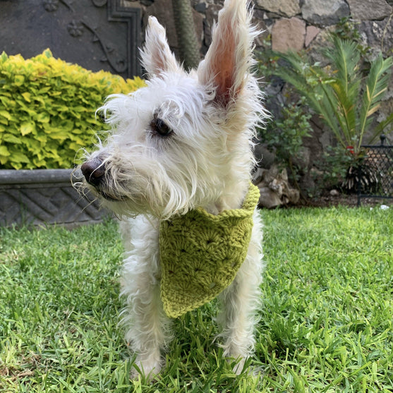 Cuddly Wrap - Hundetørkle
4