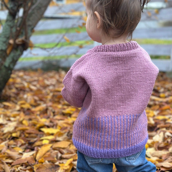 Easy Colour Mix Sweater Junior - Genser
3