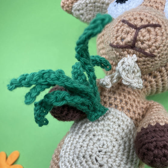 Steinbukken - Stjernetegn
6