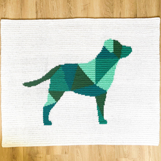 Labrador - Teppe
2