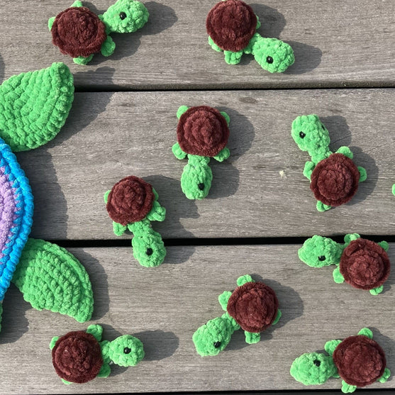 Rainbow Turtles - Memory-spill
8