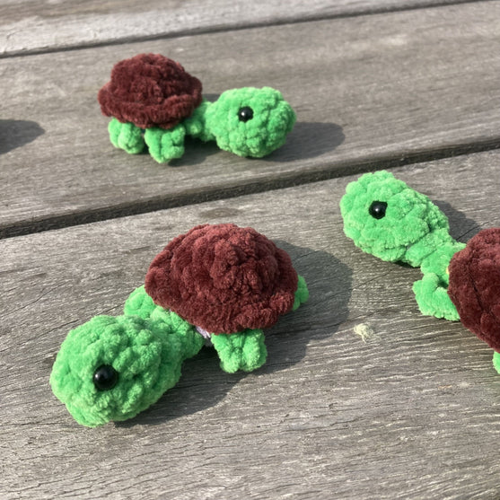 Rainbow Turtles - Memory-spill
11