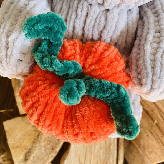 Pumpkin Bear
6