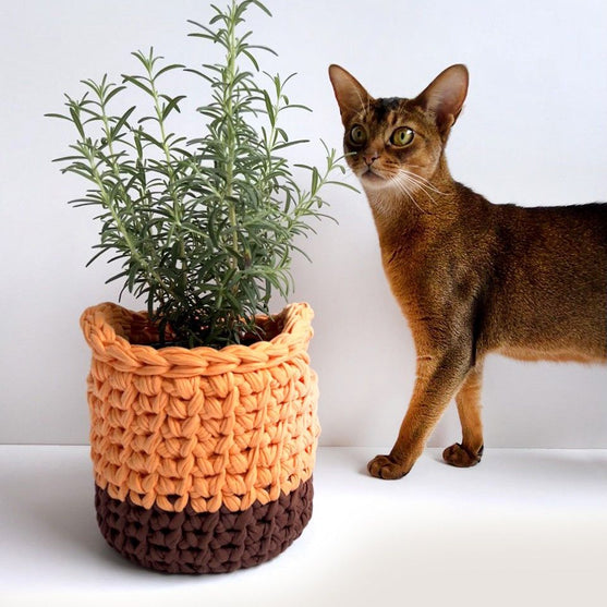 Keep It - Kurvsett
7