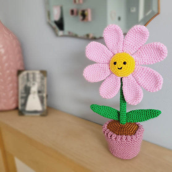 Potteplanten Flora
2