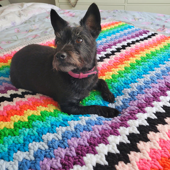 The Rainbow Cuddle Blanket - Teppe
5