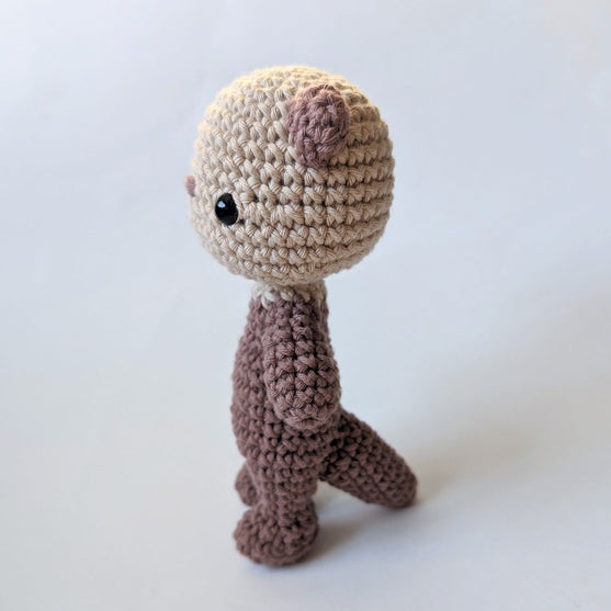 Sea Otter
3