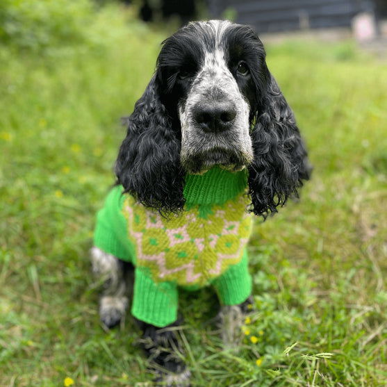 

Cocker Spaniel - Hundegenser
1