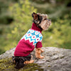 

Yorkshire Terrier - Hundegenser
3
