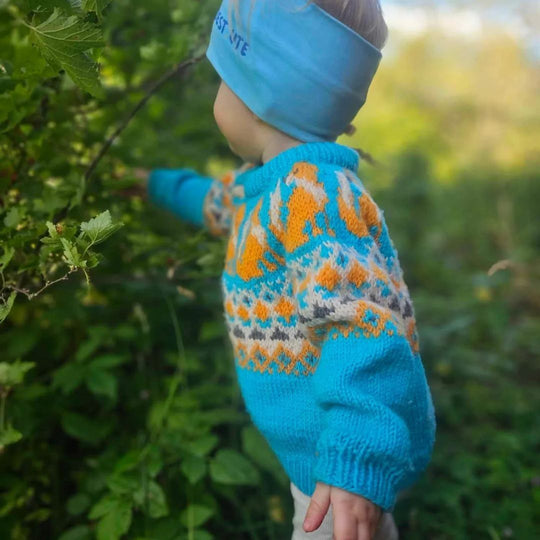 Happy Fox - Barnegenser