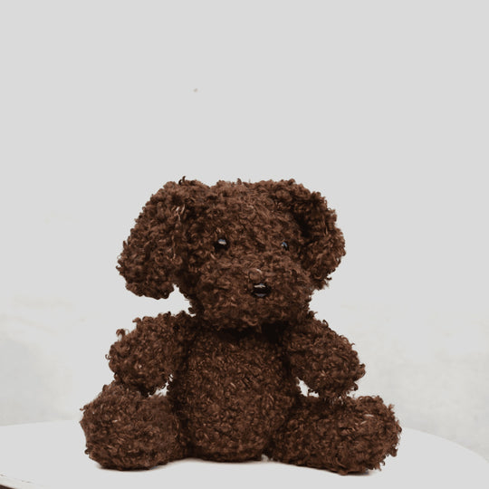 Cavapoo