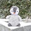 

Pingvinen Pippo
1