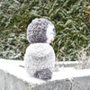 

Pippo the Penguin
3