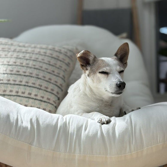 

Homebody - Putetrekk
6