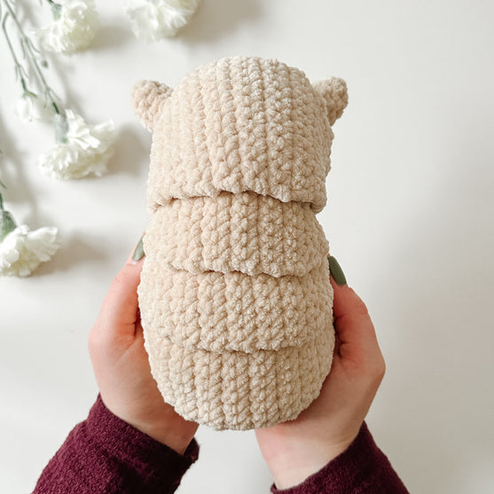 

Beltedyret Armando
3