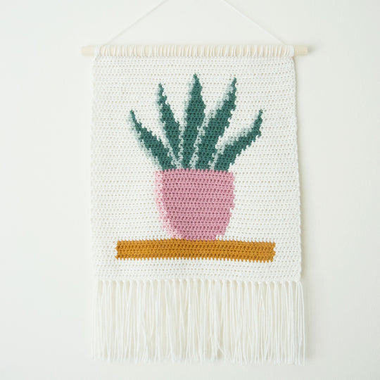 Snake Plant - Veggoppheng