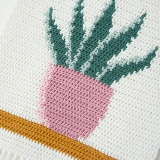 

Snake Plant - Veggoppheng
4