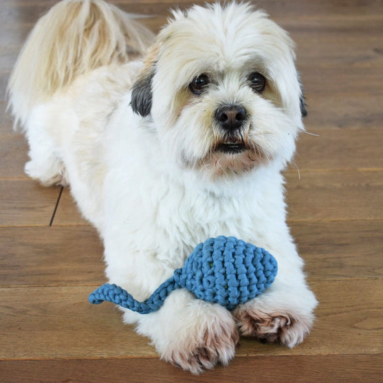 

Haletusse - Leketøy til Hund
1