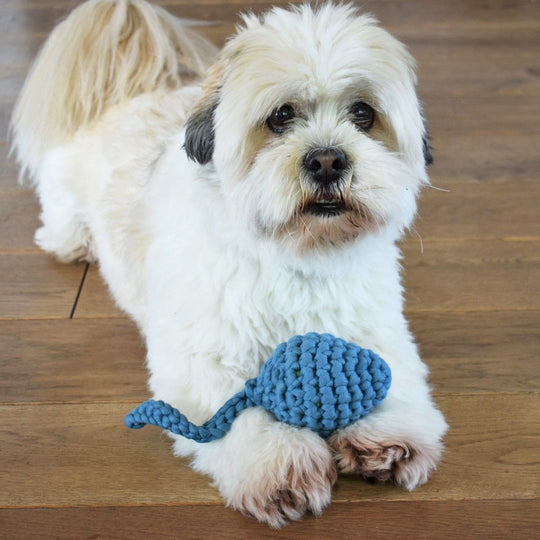 Haletusse - Leketøy til Hund