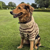 

Stevie - Hundegenser
4