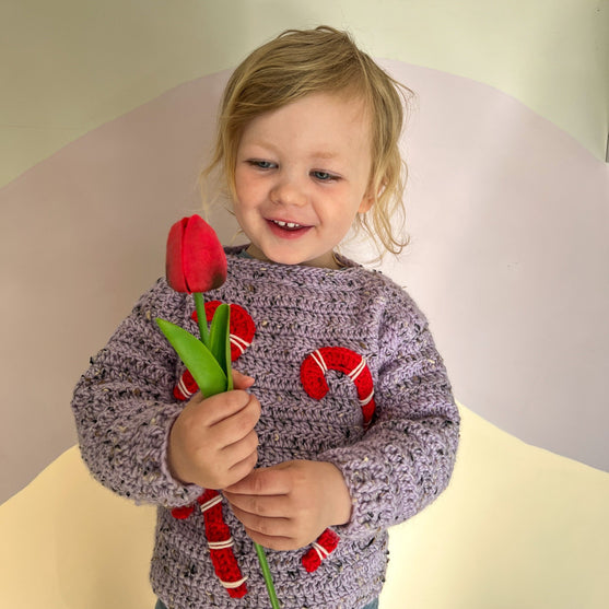 

Candy Canes - Barnegenser
4