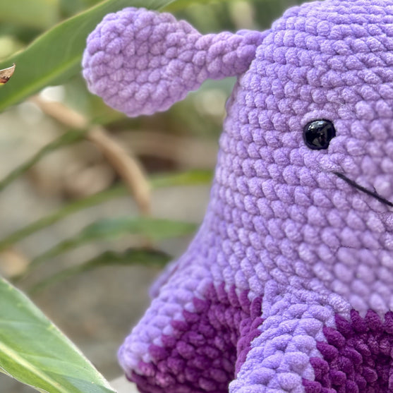 

Paraplyblekkspruten Wade
3