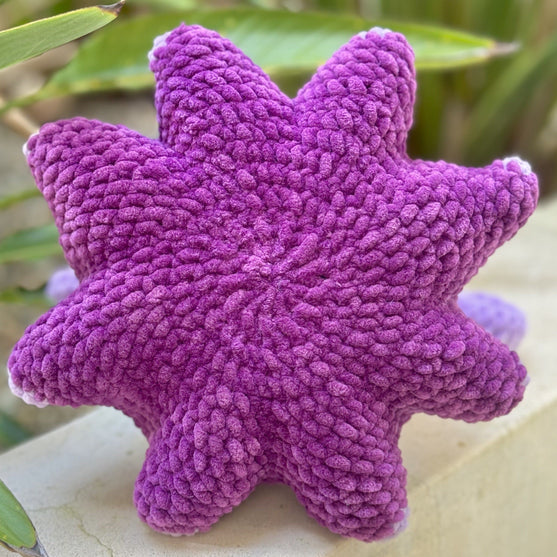 

Paraplyblekkspruten Wade
4