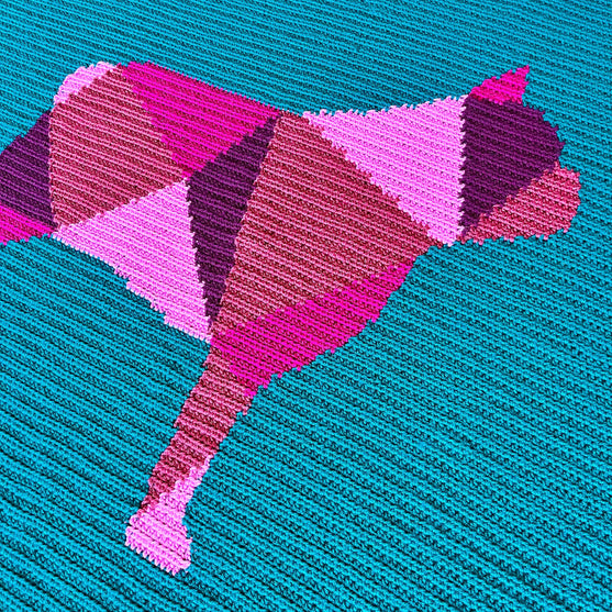 

Fransk bulldog - Teppe
4