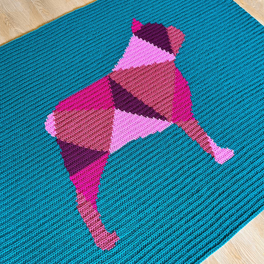 Fransk bulldog - Teppe
