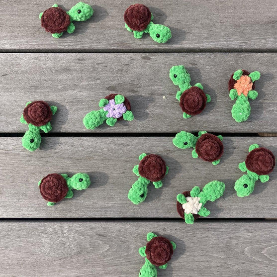 

Rainbow Turtles - Memory-spill
9