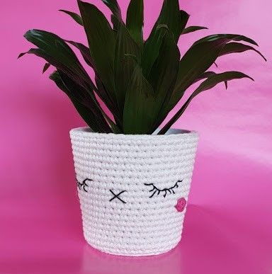 

Kawaii Søte Krukker
3