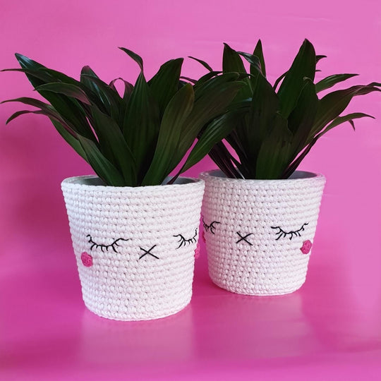 Kawaii Søte Krukker